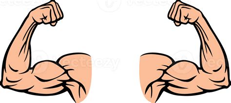 Two Bicep Muscle Flexing Png Illustration Png