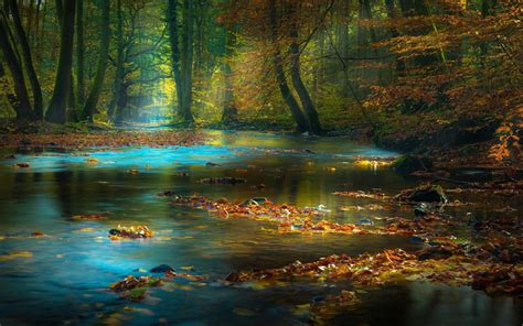 Autumn Landscape Forest Trees Mountain Stream River Fall Leaf And