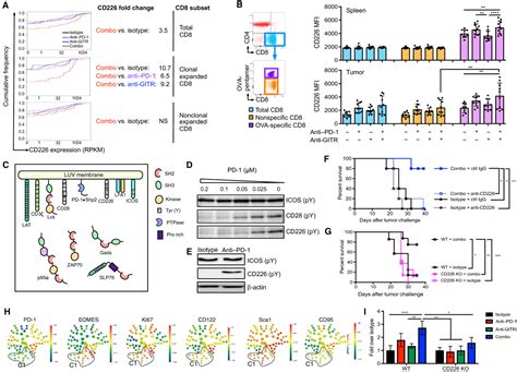 Combination Cancer Immunotherapy Targeting Pd And Gitr Can Rescue Cd