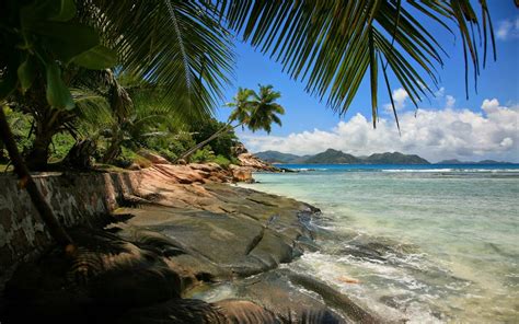 Piękne Krajobrazy Tropiki Karaiby Morze Lato Skalista Plaża Palmy Lato Bezludna Wyspa