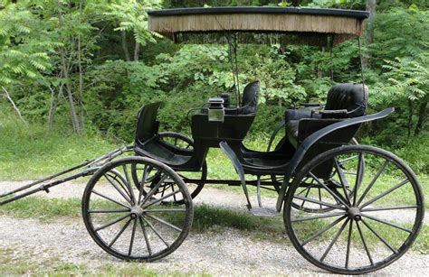 Very Elegant Horse Drawn Carriage Wagon Cart Horse Drawn Wagon