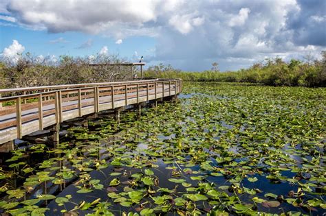 One Perfect Day In Everglades National Park Earth Trekkers