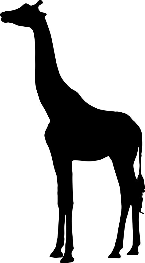 Giraffe Silhouette At Getdrawings Free Download