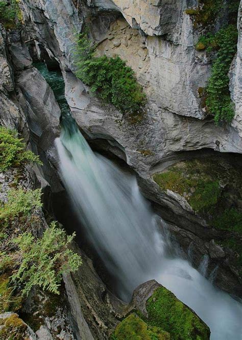 Maligne Canyon Discover The Deepest Canyon In The Rockies National