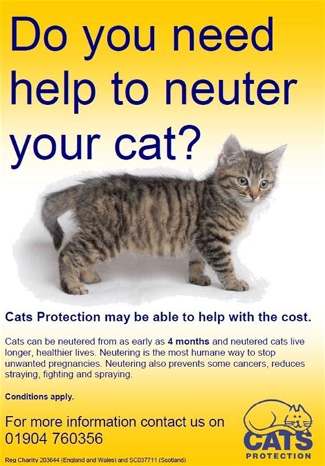 The cost of getting a cat or kitten varies a lot. Neutering