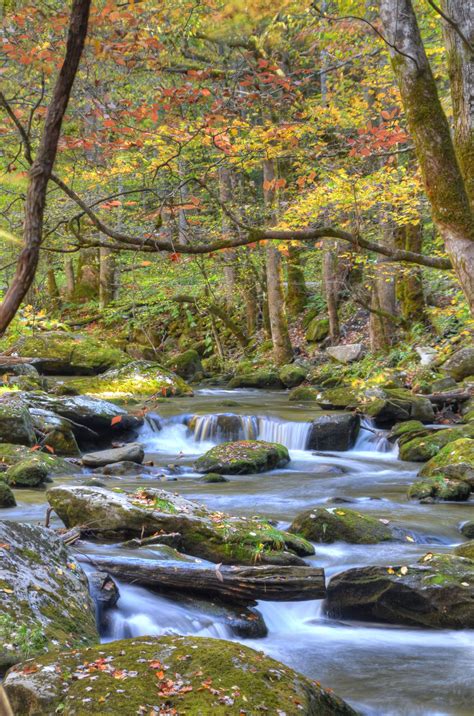 Smoky Mountains Stream Mountain Stream Beautiful Landscapes