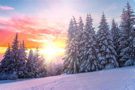Winter Landscape On A Sunset Bulgaria — Stock Photo