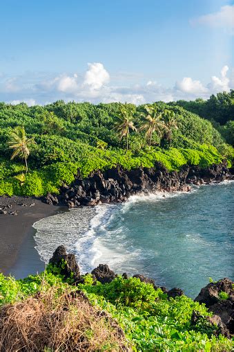 Tropical Scenic Black Sand Beach Hana Maui Hawaii Travel Destinations