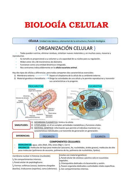 Biología Celular Udocz
