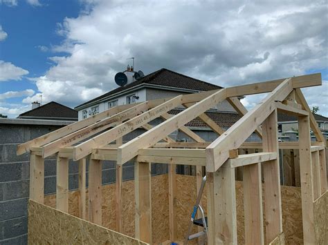 Diy Garden Shed Build Part 2 Framing The Walls And Roof Diarmuidie