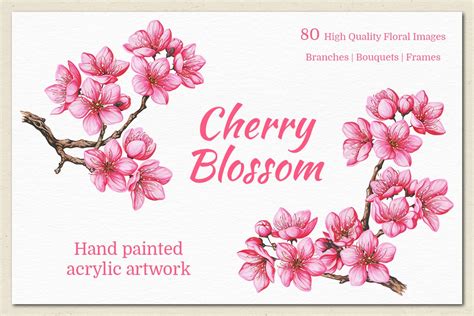 Cherry Blossom Hand Painted Set Illustrations ~ Creative Market