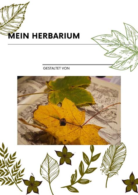 Herbarium Gestalten Vorlage Anleitung Kinder Diy Trends