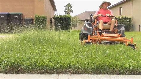 Tall Thick Grass Mowing Correct Sound Timelapse 7 Youtube