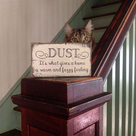 Dust Its What Gives A Home A Warm And Fuzzy Feeling Handmade Rustic