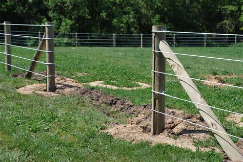 Because the chemical properties can vary a great deal, a wire can be thin and flexible (traditional, low carbon) or very strong and rigid (high tensile). RAMM Electric Fence Installation Project | Recently, we had … | Flickr