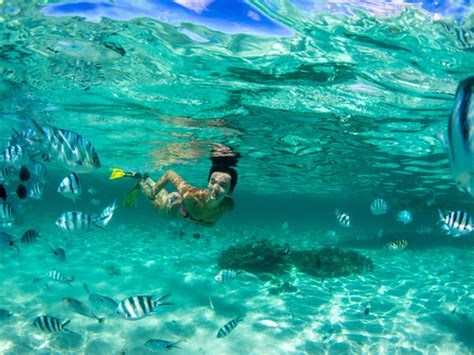 Costa Maya Guided 2 Reef Boat Snorkel Excursion Costa Maya Excursions