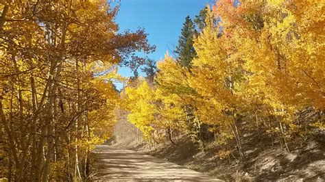 9 Best Drives To See Fall Colors In Colorado Road Trip To Colorado