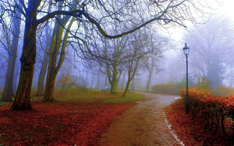 Misty Autumn Park Hd Wallpaper Background Image 1920x1200 Id
