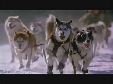 Season 1 episode 8 trailer. Aventuras en Alaska (Snow Dogs) - Trailer - YouTube
