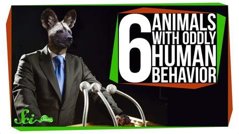 6 Animals With Oddly Human Behavior Youtube