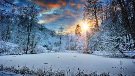 1600x900 Sunbeams Landscape Snow In Winter Trees 4k 1600x900 Resolution