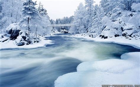 Free Download Winter Landscape Wallpapers 2560x1600 For Your Desktop