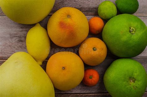 Citrus Fruits Orange Lemon Grapefruit Mandarin Lime Stock Photo