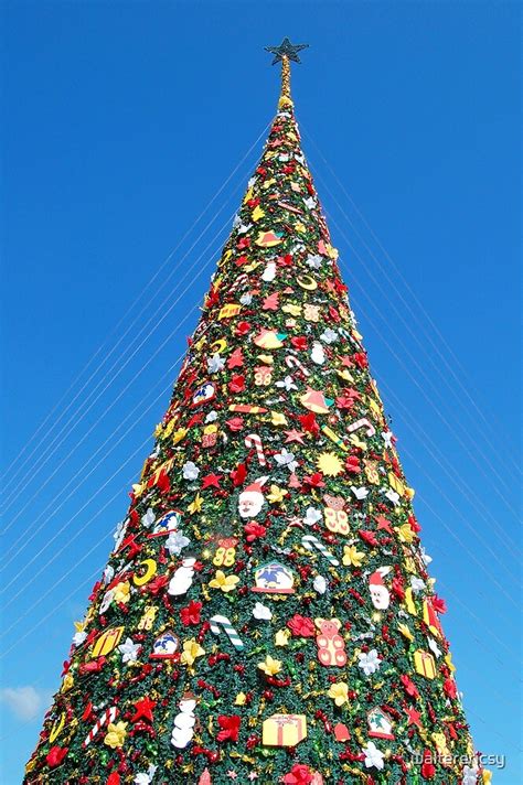 Giant Christmas Tree In Palawan Philippines By Walterericsy Redbubble