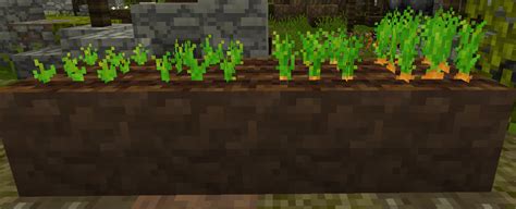 Carrots Minecraft Middle Earth