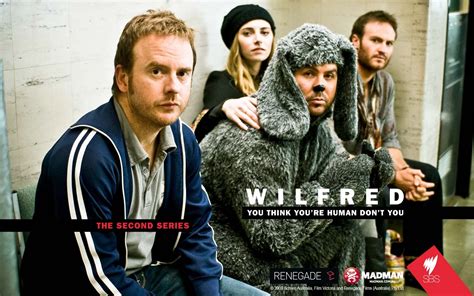 How Many Stars For That Wilfred Tv Show Review
