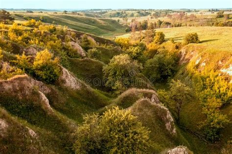 Hills Slopes Overgrown With Green Grass Nature Reserve Ukrainian