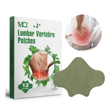 Pain Relief Patches Herbal Wormwood Extract Count Pain Relieving