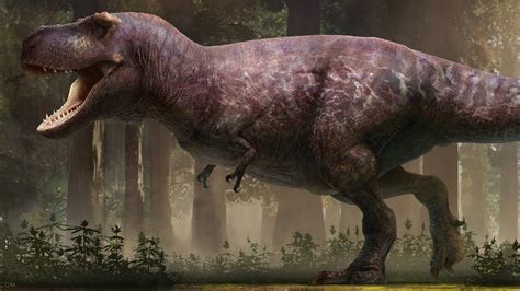 The Most Accurate T Rex Ever Reconstructed Doovi