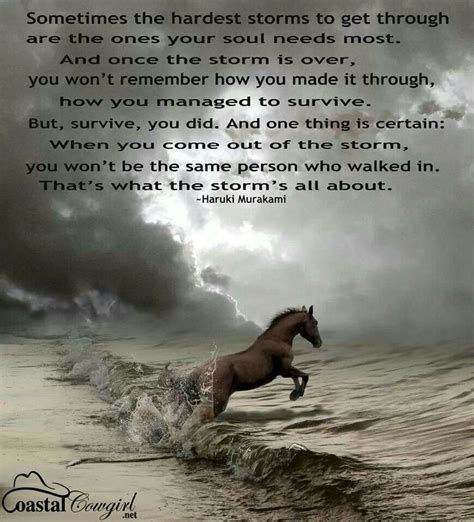 Storm Quote Quotes And Inspiration Pinterest Sweet