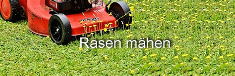 Rasenpflege von A-Z > Alles zu Vertikutieren bis Mähen!