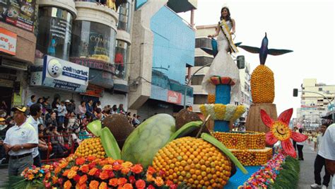 Fiesta De Las Flores Y Las Frutas 2016