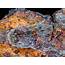 Iron Mineral Specimen For Sale