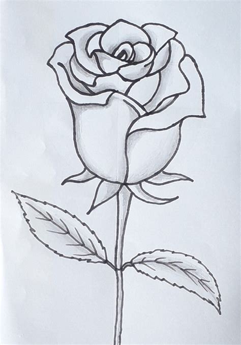 Como Desenhar Uma Rosa Art Drawings Simple Easy Drawings Drawings