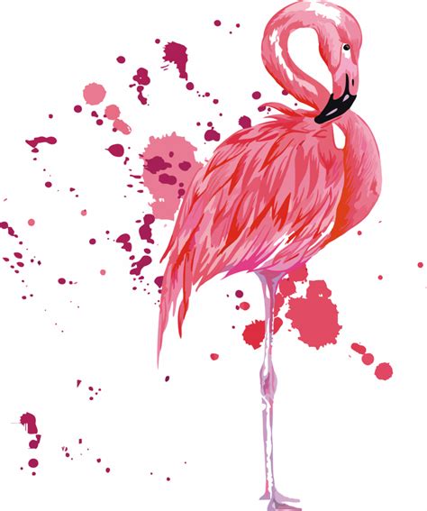 Pink Flamingo Clipart Bird Flamingo Transparent Clip Art
