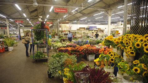 Farmers markets in san francisco. Kilroy to announce new 'commitments' to preserve Flower ...
