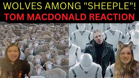Too Much Truth Sheeple Tom Macdonald Reaction Youtube