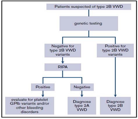 Ash Isth Nhf Wfh 2021 Guidelines On The Diagnosis Of Von Willebrand