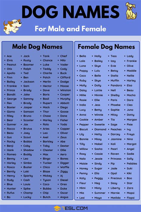 130 Best Ideas For Coloring Dog Names Boy