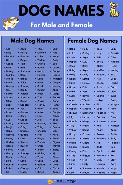 Korean Pet Names Online Collection Save 48 Jlcatjgobmx