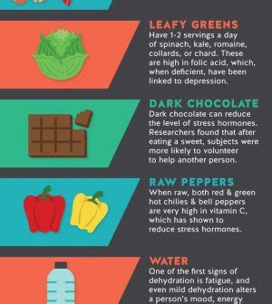 Top Healthy Foods That Can Improve Your Mood Infographic