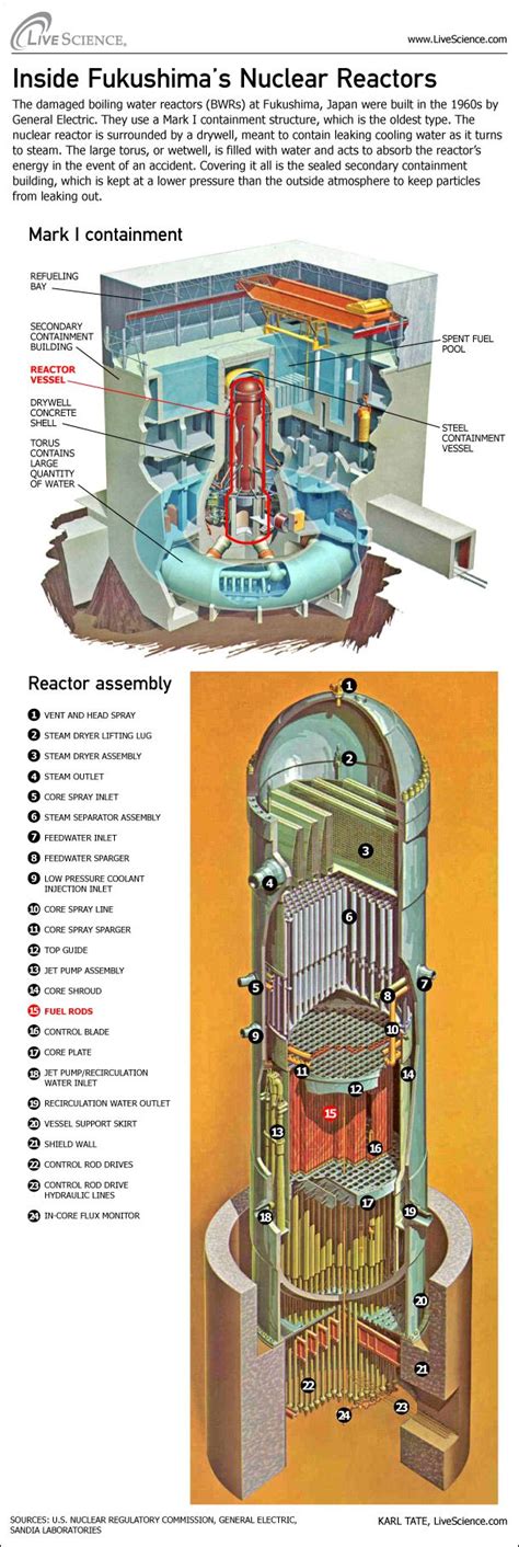 Inside Japans Nuclear Reactors Infographic Live Science
