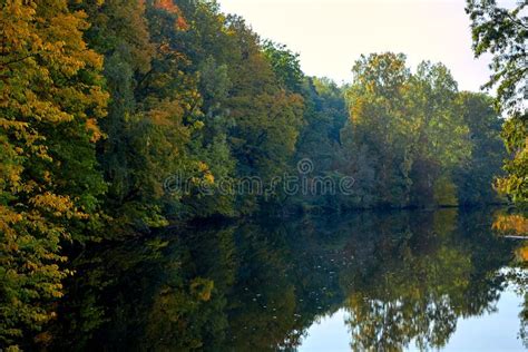 Green Forest And River Forest Lake The River Flows Among Trees