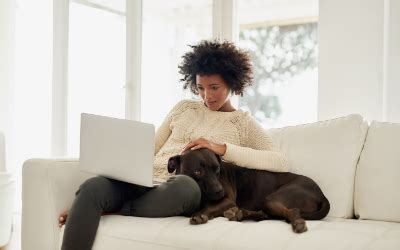 The best veterinary care in your community. Telemedicine | Advanced Veterinary Care Farmington ...