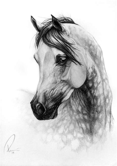 Daugther Of The Wind By Nutlu On Deviantart Horse Art Drawing Horse