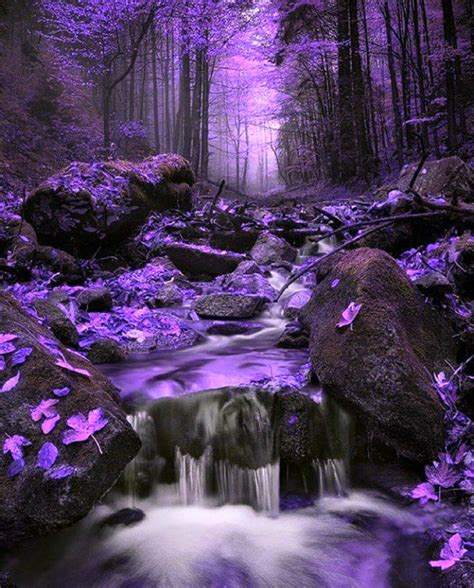 Pin By Cheryl Russell On Purple Photo Wonders Of The World Favorite